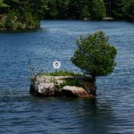 Smallest "Thousand Island", St. Lawrence R.